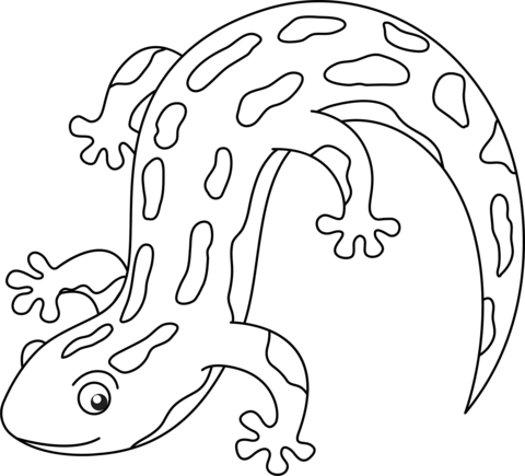 Cute Salamander Coloring Page